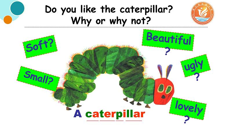 小学英语川教版6B unit3 Lesson1 He Was a Beautiful Butterfly 部优课件04