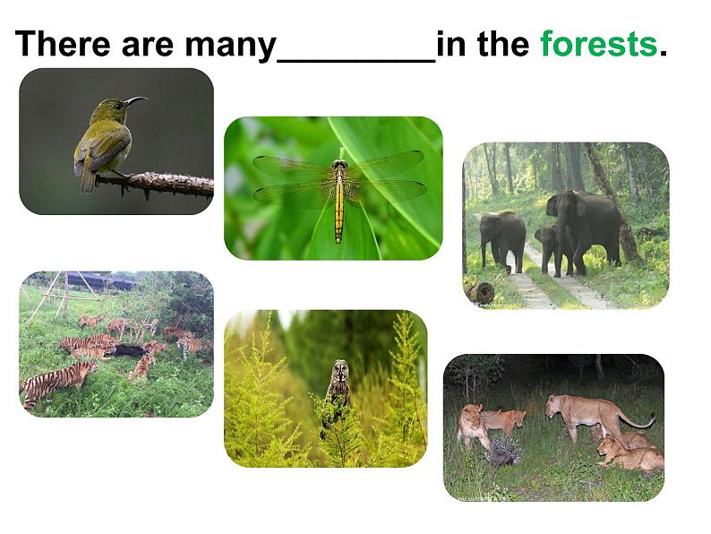 小学英语沪教版6A unit12 The earth部优课件08