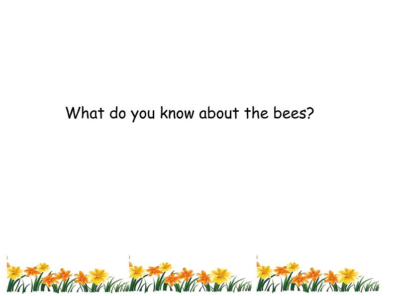 小学英语冀教版5A Lesson18 Billy Bee部优课件02