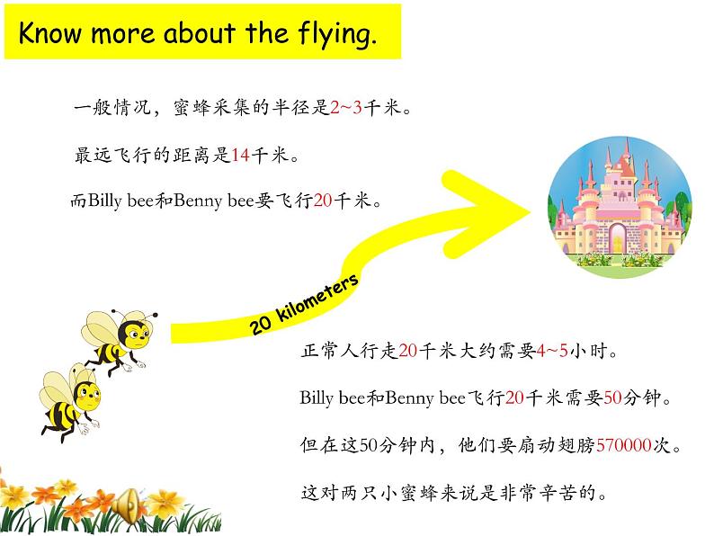 小学英语冀教版5A Lesson18 Billy Bee部优课件07