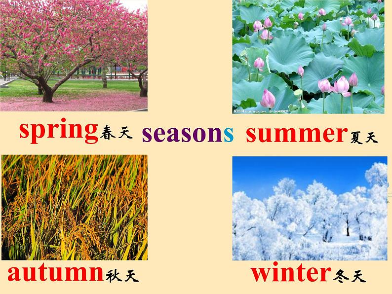 小学英语教科EEC版4B Class 3 Textbook Unit2 I Like Spring部优课件03