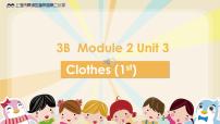 2020-2021学年unit 3 Clothes多媒体教学ppt课件