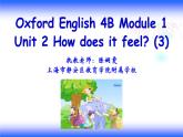 小學(xué)英語(yǔ)牛津上海版4B Unit2 How does it feel 部?jī)?yōu)課件