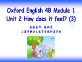 小学英语牛津上海版4B Unit2 How does it feel 部优课件