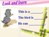 小學(xué)英語滬教版4A 3 Are you happy unit3 a thirsty bird部優(yōu)課件