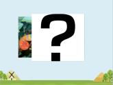 小學(xué)英語(yǔ)冀教版4B Lesson19 My Favourite Colours部?jī)?yōu)課件