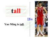 小學(xué)英語(yǔ)冀教版4B Lesson14 Are You Short or Tall部?jī)?yōu)課件