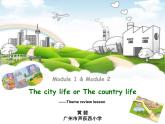 小学英语教科版6A Fun with languag 主题单元复习部优课件