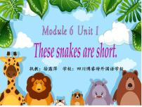 小学英语外研版 (一年级起点)一年级下册unit 1 These snakes are short.授课课件ppt