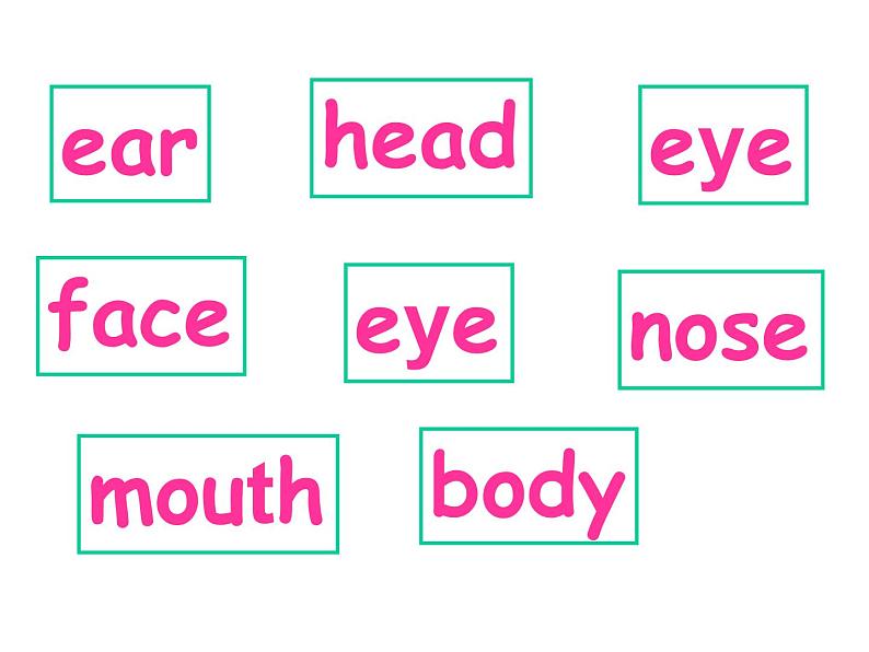 小学英语外研版3B Unit1 Here are his hands Module 6部优课件03