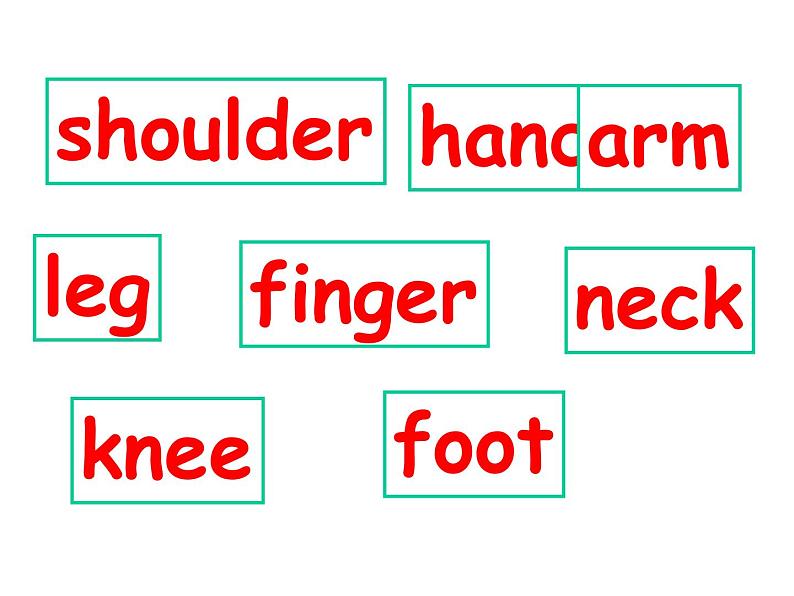 小学英语外研版3B Unit1 Here are his hands Module 6部优课件04