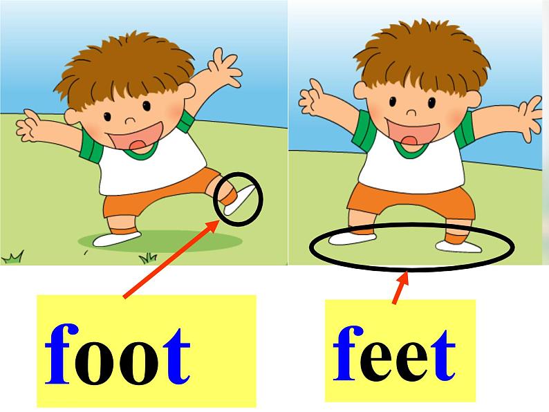 小学英语外研版3B Unit1 Here are his hands Module 6部优课件07