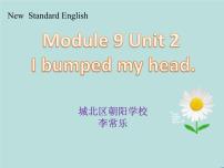 英语四年级上册Unit 2 I bumped my head.图文ppt课件