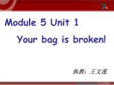 小学英语外研版5B Unit1 Your bag is broken 部优课件