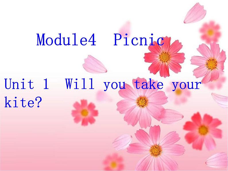 四年级英语下册课件-Module 4 Unit 1 Will you take your kite（8）-外研版（三起）01