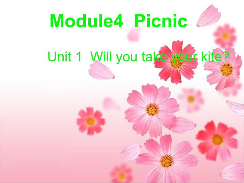 四年级英语下册课件-Module 4 Unit 1 Will you take your kite（4）-外研版（三起）01