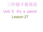 人教精通版小学英语三下 Unit5 It's a parrot.(Lesson27) 课件