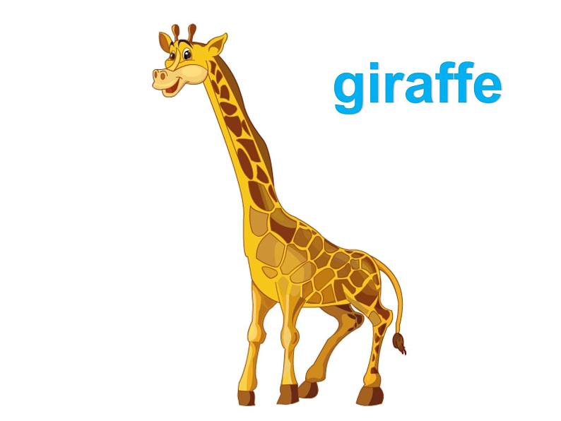 人教精通版小学英语四下 Unit6 Would you like to take a trip？(Lesson32) 课件02