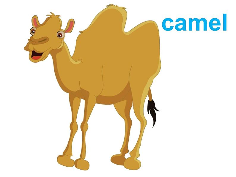 人教精通版小学英语四下 Unit6 Would you like to take a trip？(Lesson32) 课件03