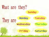 人教精通版小學英語四下 Unit4 There are seven days in a week.(Lesson21) 課件