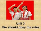 人教精通版小学英语五下 Unit3 We should obey the rules.(Lesson14) 课件