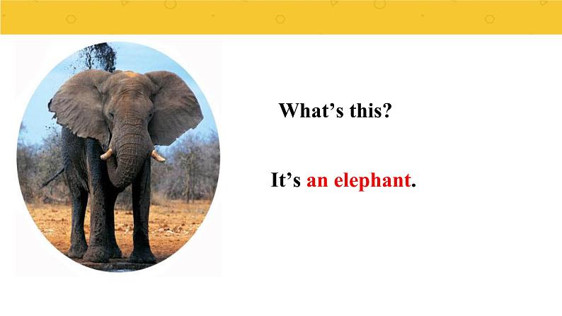 Module 2  Unit 2 The man is short.  课件PPT+音视频素材04