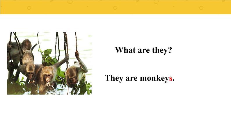 Module 2  Unit 2 The man is short.  课件PPT+音视频素材05