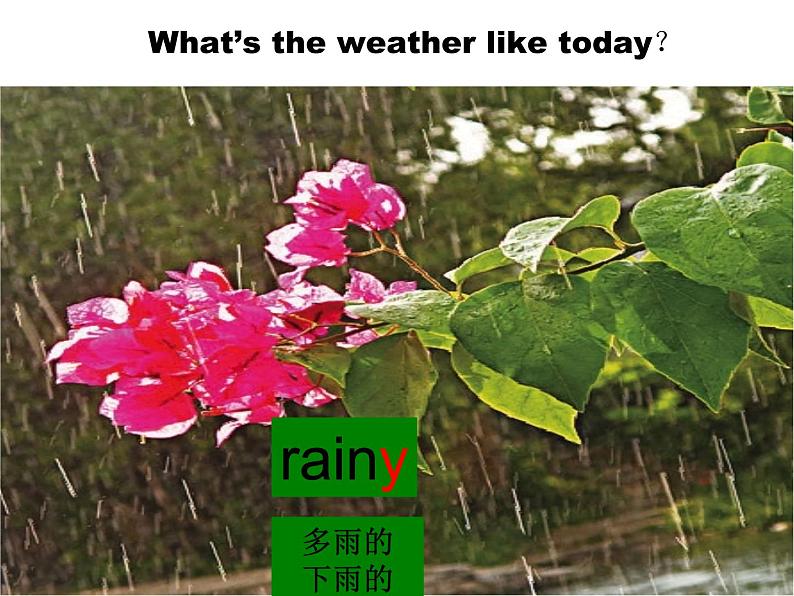 北师大版五下英语 Unit11 Weather Lesson1 课件07