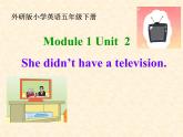 外研版（三起）小学英语五下 M1 U2 She didn't have a television. 课件