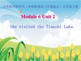 外研版（三起）小学英语五下 M6 U2 She visited the tianchi lake. 课件