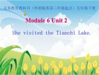 小学英语外研版 (三年级起点)五年级下册Unit 2 She visited the Tianchi Lake.背景图课件ppt