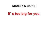 外研版（三起）小学英语五下 M5 U2 It's too big for you. 课件