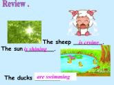 外研版（三起）小学英语六下 Module3 Unit2 The cows are drinking water. 课件