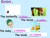 外研版（三起）小学英语六下 Module3 Unit2 The cows are drinking water. 课件