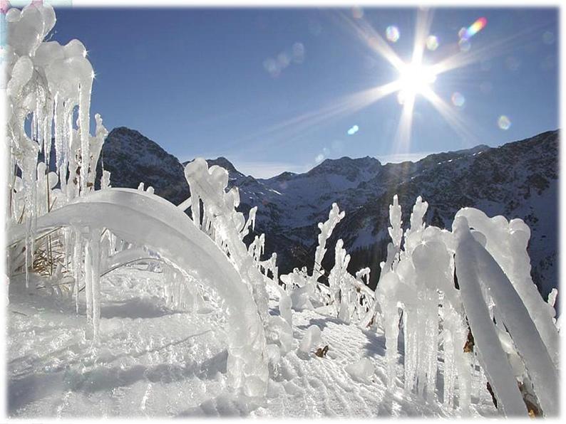 译林版（三起）小学英语四下 Unit5 Seasons(第2课时） 课件04