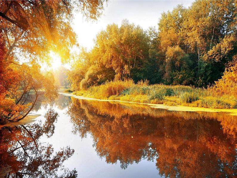 译林版（三起）小学英语四下 Unit5 Seasons(第2课时） 课件07