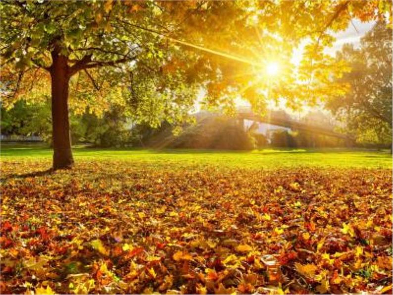 译林版（三起）小学英语四下 Unit5 Seasons(第2课时） 课件08