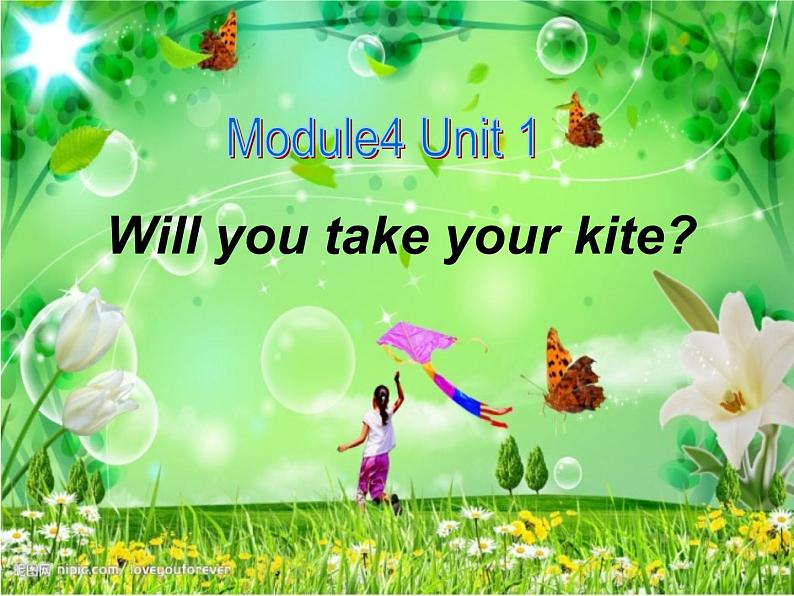 外研版（三起）小学英语四下 M4 U1 Will you take your kite？ 课件第1页