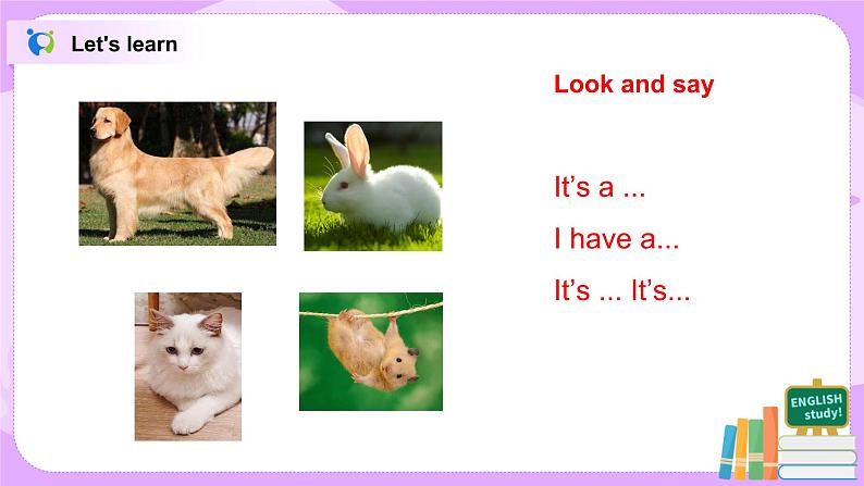 Unit 2 I have a rabbit Period 4课件+教案+同步练习07