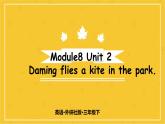 Module 8  Unit 2 Daming flies a kite in the park.  课件PPT+音视频素材