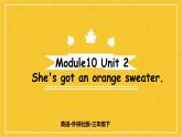 Module 10  Unit 2 She’s got an orange sweater.  课件PPT+音视频素材