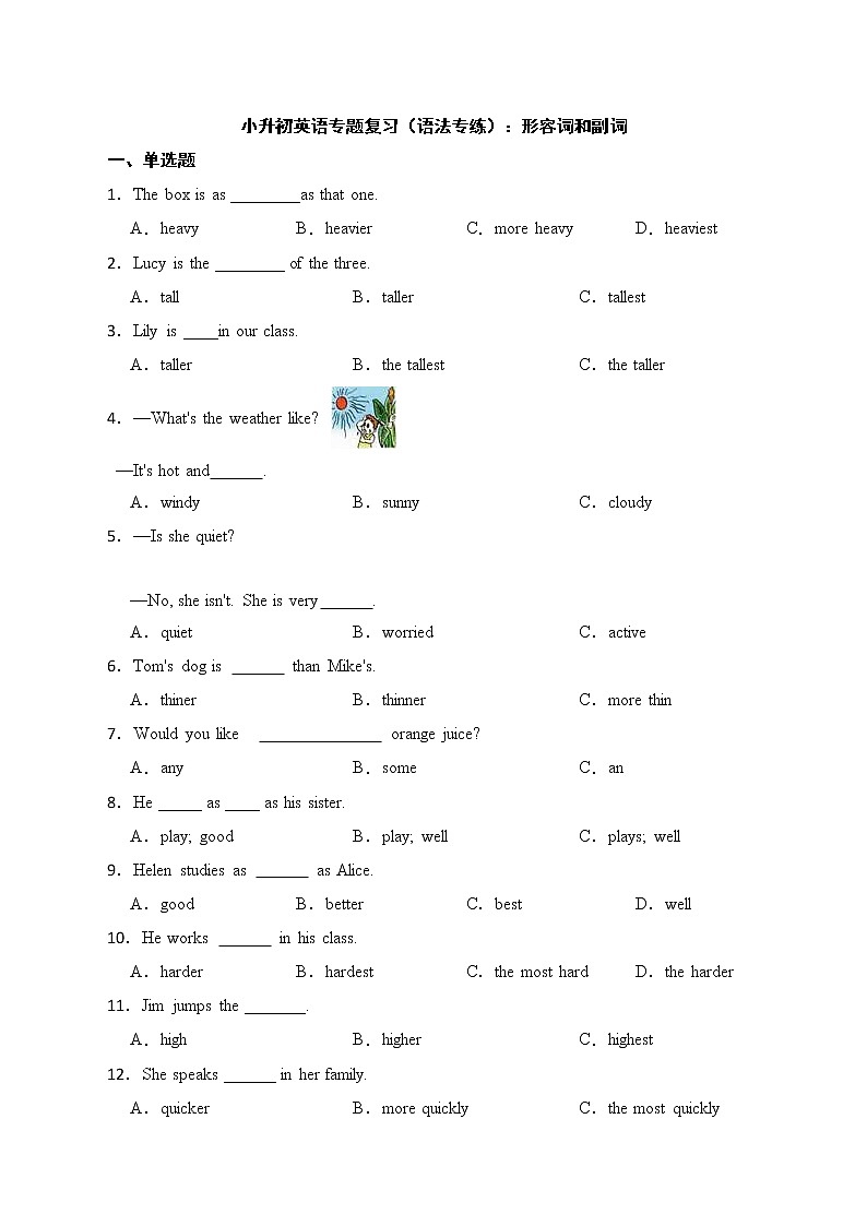 2022年小升初英语专题复习（语法专练）：形容词和副词01