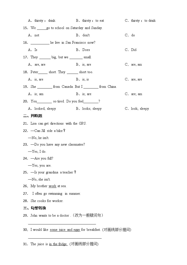 小学英语小升初专项复习：一般现在时第2页