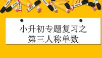 小升初总复习语法之第三人称单数课件PPT