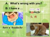 人教精通版小學(xué)英語五下 Unit4 What's wrong with you？(Lesson20) 課件