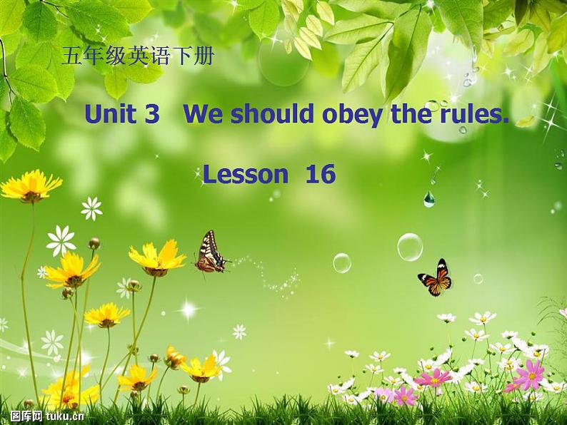 人教精通版小学英语五下 Unit3 We should obey the rules.(Lesson16) 课件01