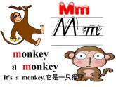 人教精通版小學(xué)英語(yǔ)三下 Unit5 It's a parrot.(Lesson26) 課件