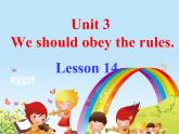 人教精通版小学英语五下 Unit3 We should obey the rules.(Lesson14) 课件