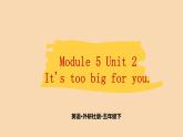 Module 5 Unit 2　It's too big for you.  课件PPT+练习课件+音视频素材