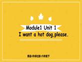Module 1 Unit 1　I want a hot dog,please.  课件PPT+练习课件+音视频素材